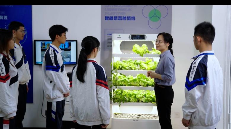 浙江工贸职业技术学院人工智能学院“四色花开”别样红