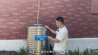 8.gif
