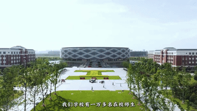 5.gif